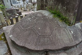 f:id:sarunokinobori:20180717221846j:plain