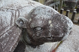 f:id:sarunokinobori:20180717221855j:plain