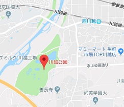 f:id:sarunokinobori:20180729171706j:plain