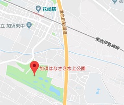 f:id:sarunokinobori:20180731174938j:plain