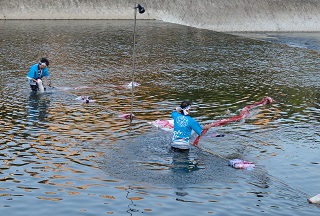 f:id:sarunokinobori:20180806211732j:plain