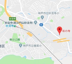 f:id:sarunokinobori:20180821144702j:plain