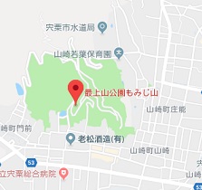 f:id:sarunokinobori:20180830083319j:plain
