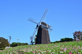 f:id:sarunokinobori:20180906145428j:plain