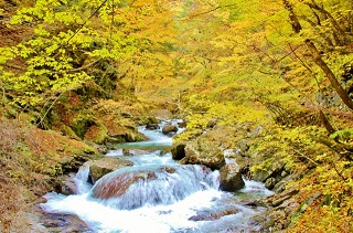 f:id:sarunokinobori:20180907083607j:plain