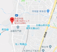 f:id:sarunokinobori:20180912083826j:plain