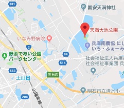 f:id:sarunokinobori:20180912145211j:plain