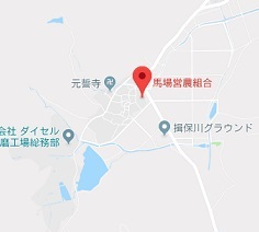 f:id:sarunokinobori:20180912224745j:plain