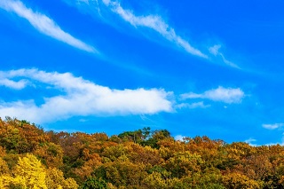 f:id:sarunokinobori:20180917142118j:plain