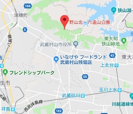 f:id:sarunokinobori:20180926222736j:plain