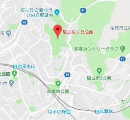 f:id:sarunokinobori:20180927083924j:plain