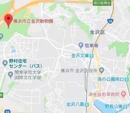 f:id:sarunokinobori:20180928144400j:plain f:id:sarunokinobori:20180928144400j:plain