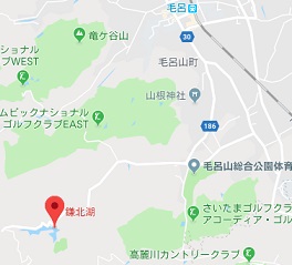 f:id:sarunokinobori:20181010151821j:plain