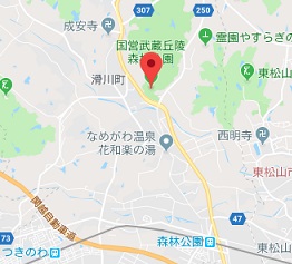 f:id:sarunokinobori:20181010224935j:plain