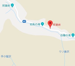 f:id:sarunokinobori:20181016144558j:plain