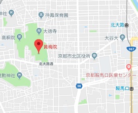 f:id:sarunokinobori:20181101204917j:plain