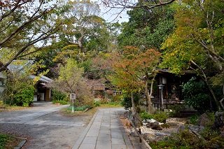 f:id:sarunokinobori:20181119204932j:plain