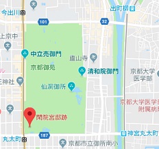 f:id:sarunokinobori:20181120203404j:plain