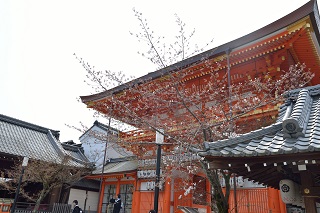 f:id:sarunokinobori:20190329220636j:plain
