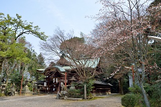 f:id:sarunokinobori:20190329220659j:plain