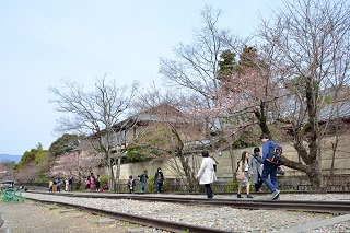 f:id:sarunokinobori:20190329220709j:plain
