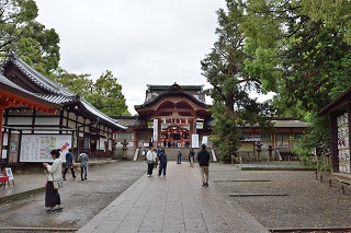 f:id:sarunokinobori:20190501224744j:plain