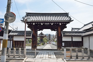 f:id:sarunokinobori:20190508222712j:plain