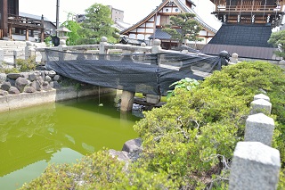 f:id:sarunokinobori:20190508222722j:plain