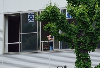 f:id:sarunokinobori:20190519165025j:plain