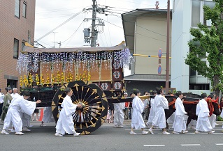 f:id:sarunokinobori:20190519165051j:plain