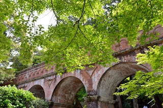 f:id:sarunokinobori:20190531224328j:plain