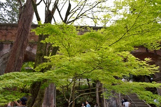 f:id:sarunokinobori:20190531224338j:plain