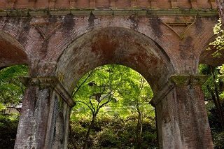 f:id:sarunokinobori:20190531224346j:plain