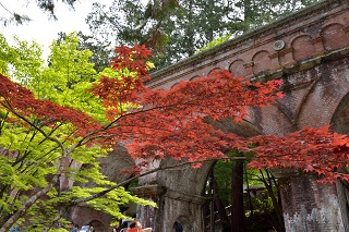 f:id:sarunokinobori:20190531224427j:plain