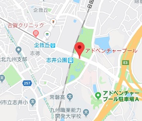 f:id:sarunokinobori:20190603215142j:plain