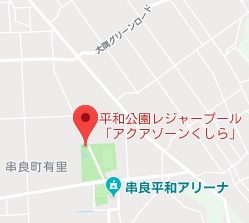 f:id:sarunokinobori:20190608191933j:plain