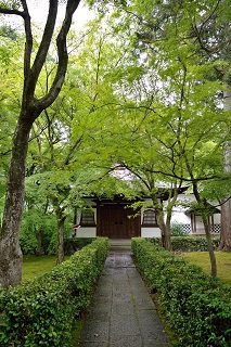f:id:sarunokinobori:20190614231502j:plain