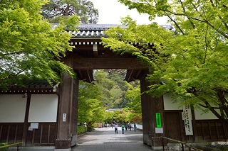 f:id:sarunokinobori:20190708222225j:plain