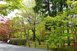 f:id:sarunokinobori:20190708222236j:plain