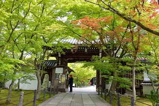 f:id:sarunokinobori:20190708222256j:plain
