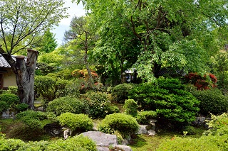 f:id:sarunokinobori:20190709225355j:plain