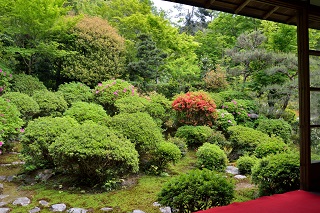 f:id:sarunokinobori:20190709225405j:plain