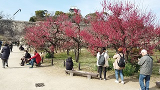 f:id:sarunokinobori:20200213211130j:plain f:id:sarunokinobori:20200213211130j:plain