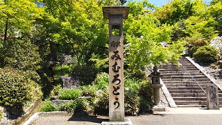 f:id:sarunokinobori:20200510212321j:plain f:id:sarunokinobori:20200510212321j:plain