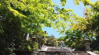 f:id:sarunokinobori:20200510212420j:plain f:id:sarunokinobori:20200510212420j:plain