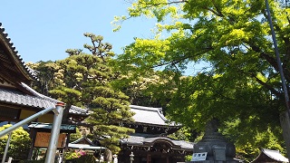 f:id:sarunokinobori:20200510212430j:plain f:id:sarunokinobori:20200510212430j:plain