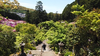 f:id:sarunokinobori:20200510212440j:plain f:id:sarunokinobori:20200510212440j:plain