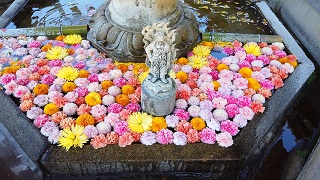 f:id:sarunokinobori:20200514204118j:plain