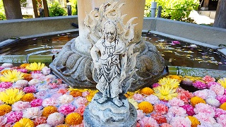 f:id:sarunokinobori:20200514204144j:plain