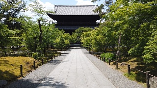 f:id:sarunokinobori:20200518195555j:plain